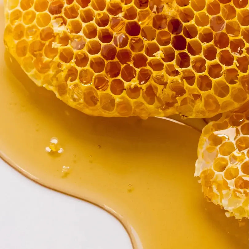 Raw Unheated Acacia Honey