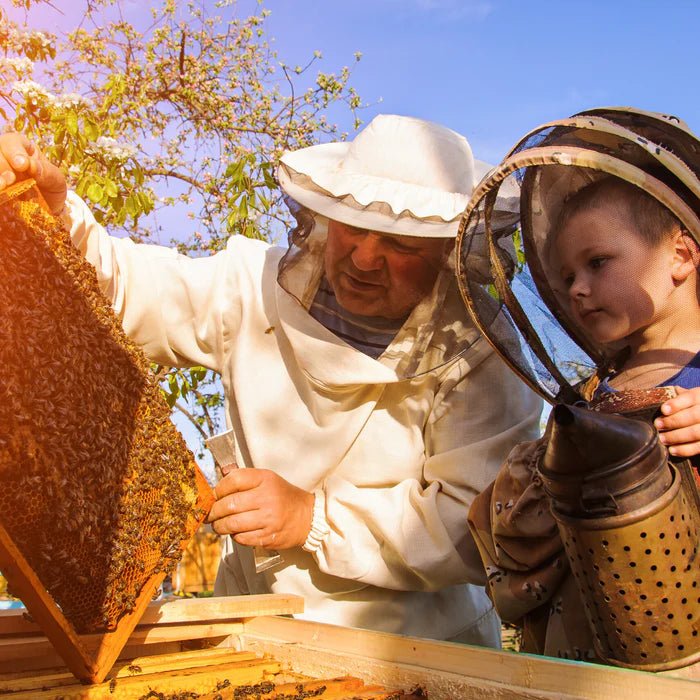 Čebelji Propolis 101: Zdravstvene Koristi, Uporaba in Stranski Učinki - Mellifera