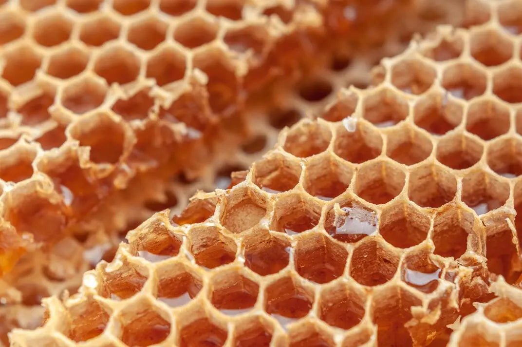 Najbolj Okusen Med Na Svetu - Mellifera