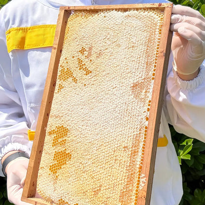 Acacia honey